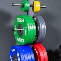 Диск профессиональный обрезиненный (цветной) D51 мм PROFI-FIT 1,5 кг