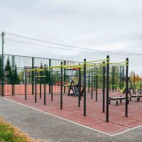 W345 Воркаут (шведская стенка, рукоход-змеевик, 5 перекладин) ZAVODSPORTA